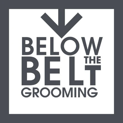 below_the_belt